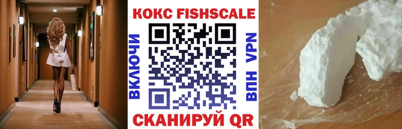 КОКАИН Fish Scale  KRAKEN как войти  Куртамыш  купить наркотики цена 
