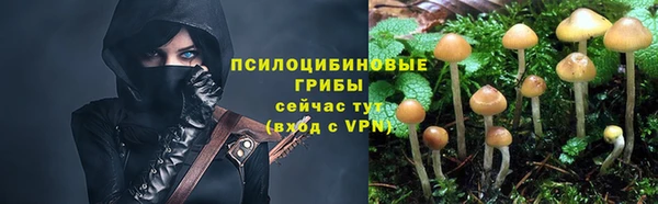 шишки Абдулино