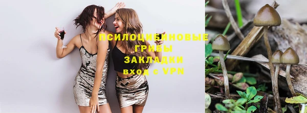 героин Алзамай