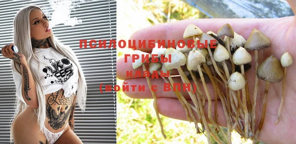шишки Абдулино