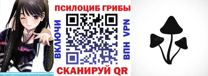 Галлюциногенные грибы GOLDEN TEACHER  Куртамыш 